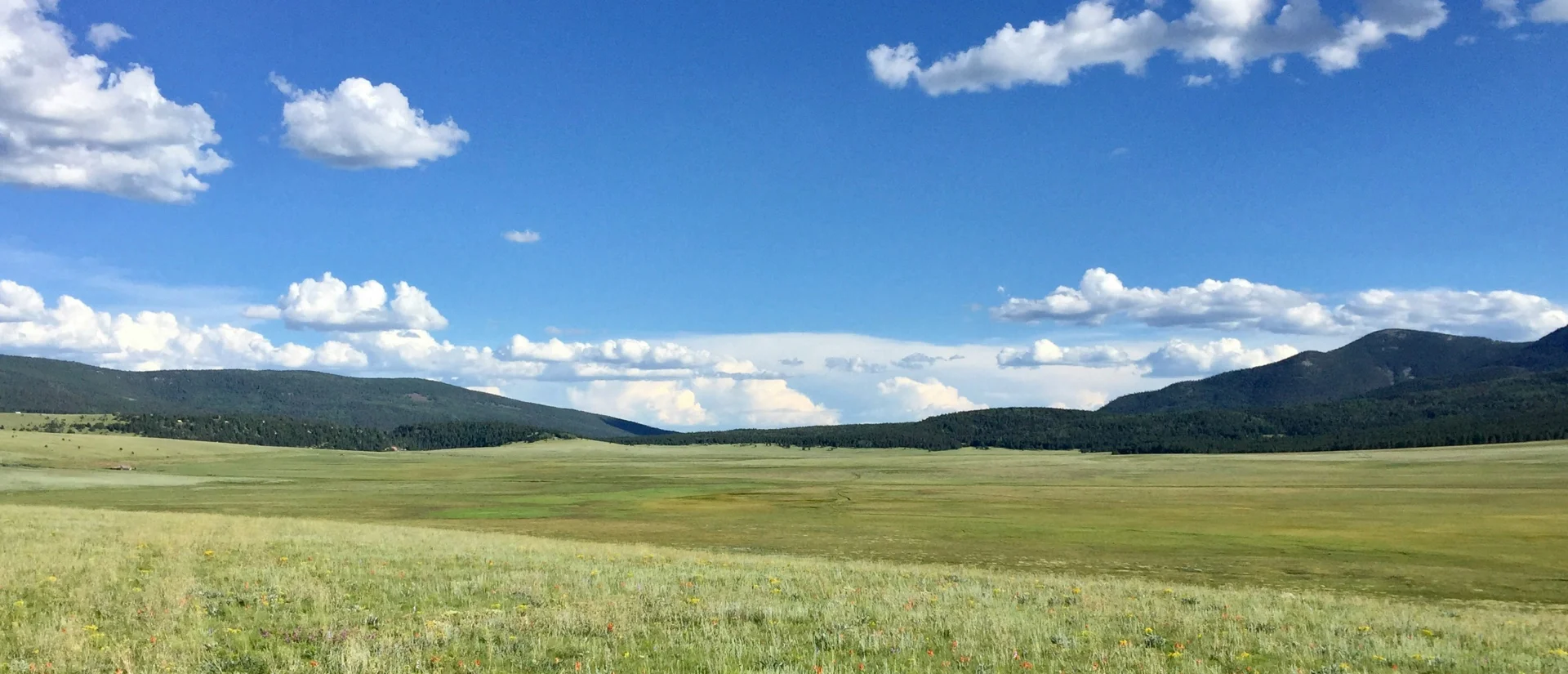 С нами земля доступна каждому