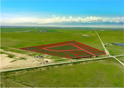 Dalex Prom «Kairat-2»